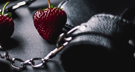 bdsm novels|15 BDSM Romance Books to Keep You Tied Up .